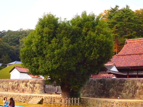 a0157619_22454436.jpg