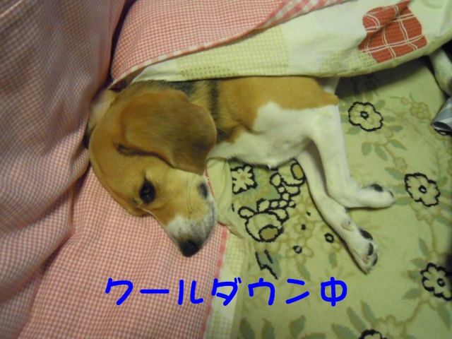 c0166622_107323.jpg