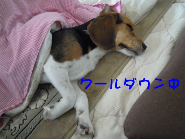 c0166622_1073630.jpg