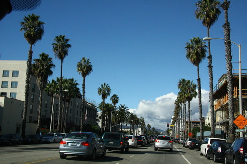 b0255523_8343679.jpg