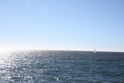 b0255523_8534037.jpg