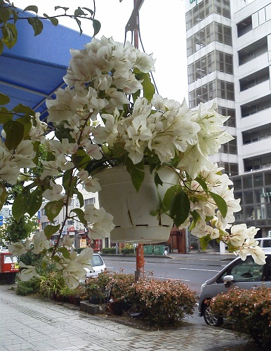 a0024829_10591843.jpg