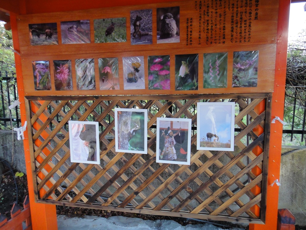 c0111229_1736329.jpg