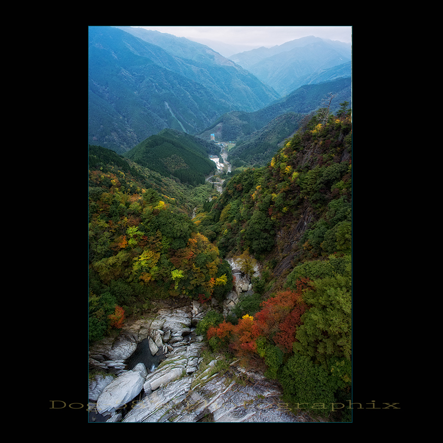 d0004832_8481557.jpg