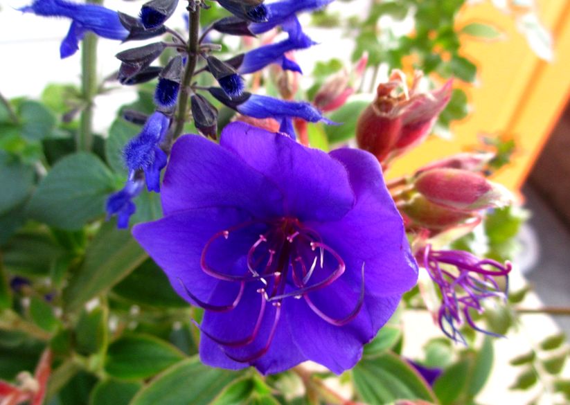e0149934_2125252.jpg