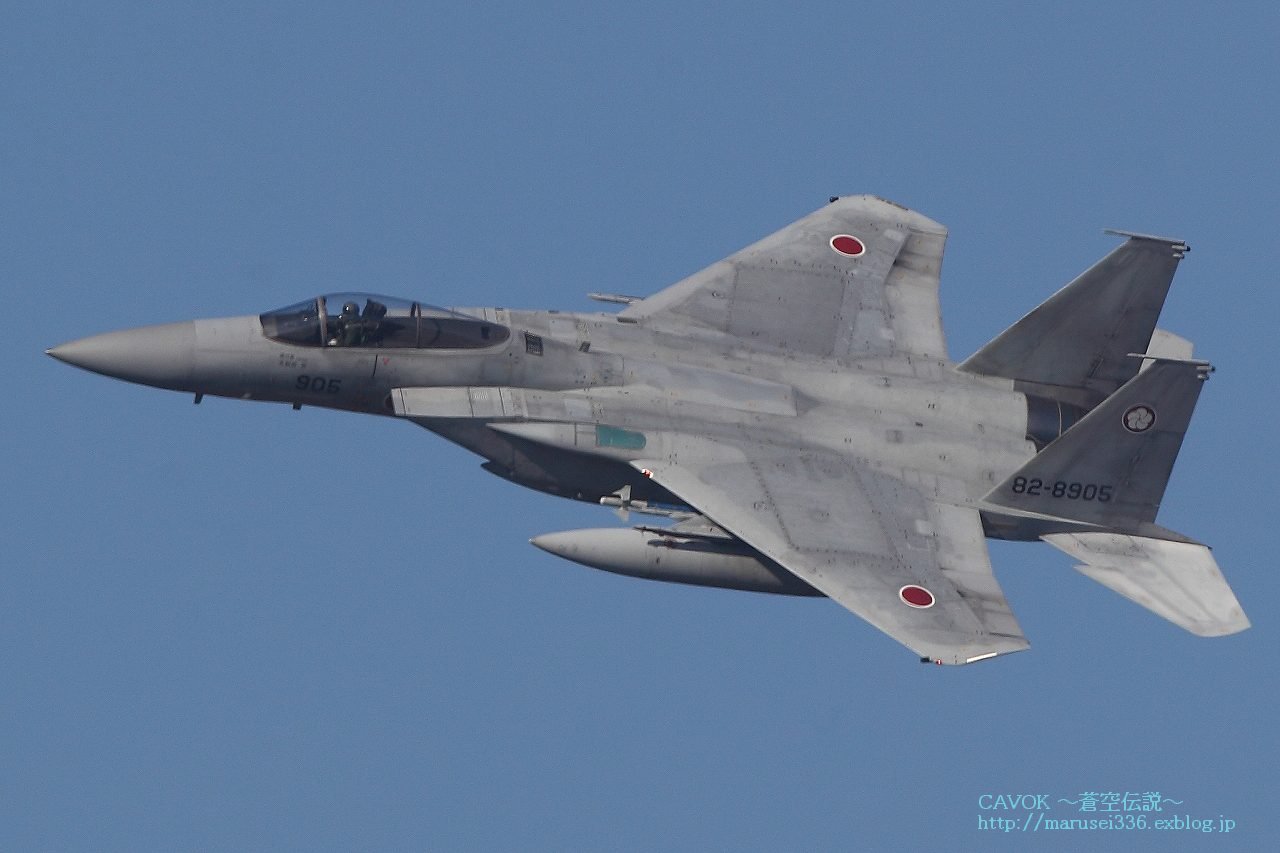 d0193838_17325910.jpg
