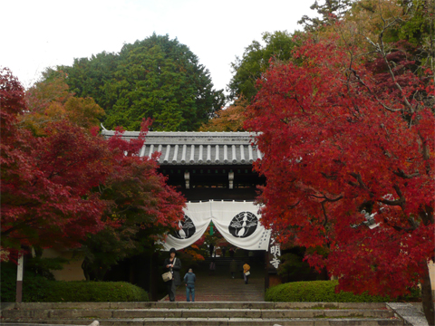 b0088340_13134976.jpg