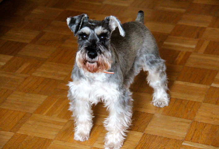 c0153740_2281751.jpg