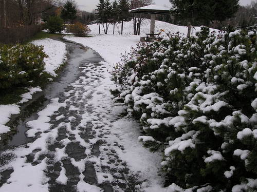 c0254440_23595358.jpg