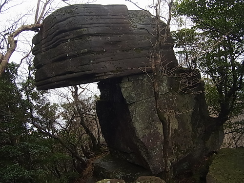 a0289641_1632721.jpg