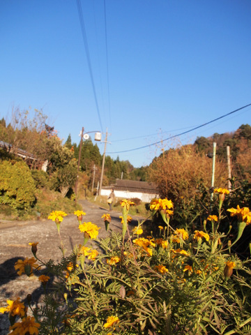 b0199742_20112692.jpg