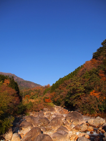 b0199742_207333.jpg