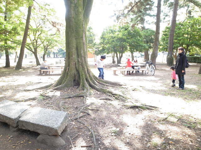 b0219843_15381629.jpg