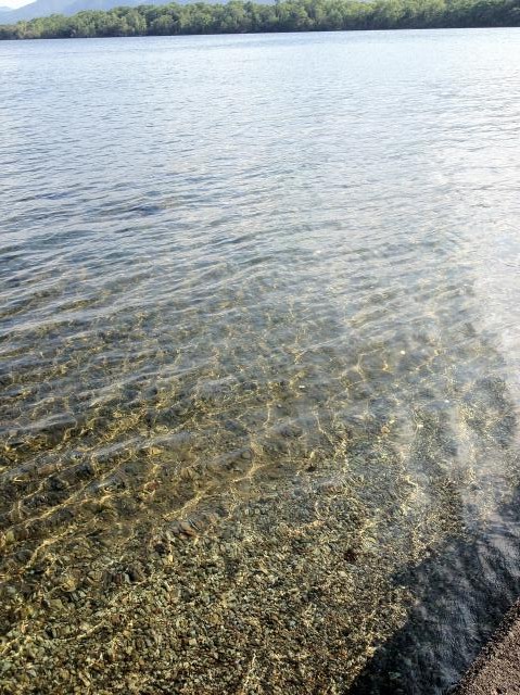 c0105957_2238560.jpg