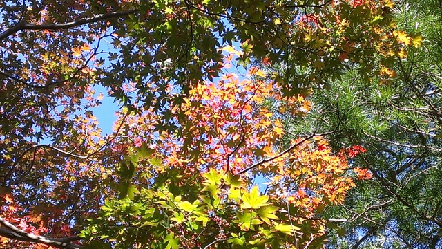 e0214662_20315673.jpg