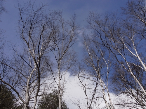 c0166668_5522826.jpg