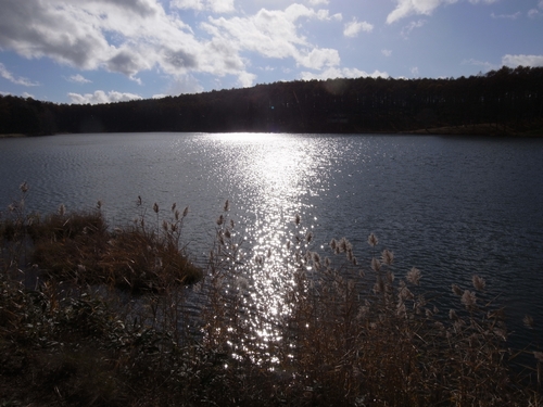 c0166668_5574237.jpg