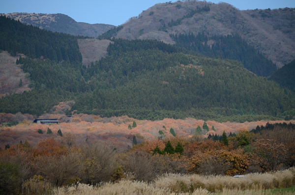 b0170969_215511.jpg