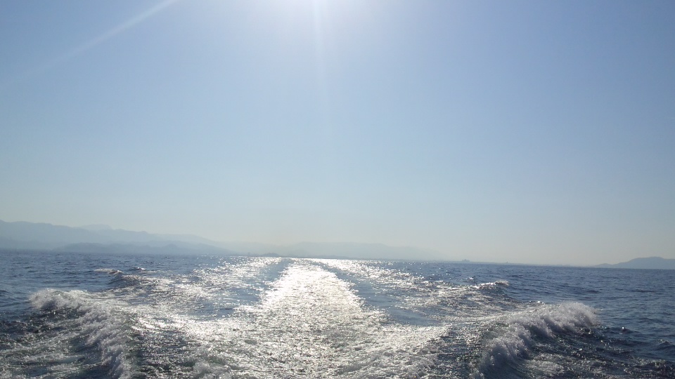 d0116870_6421676.jpg