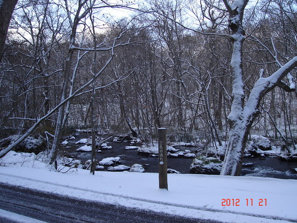 a0188775_820514.jpg