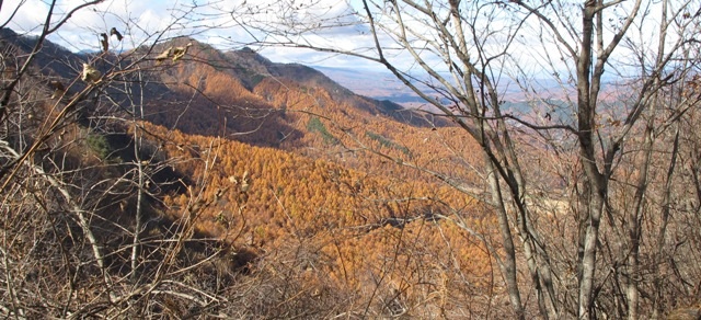 a0091680_1021346.jpg