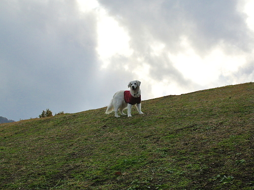 b0136381_1311118.jpg