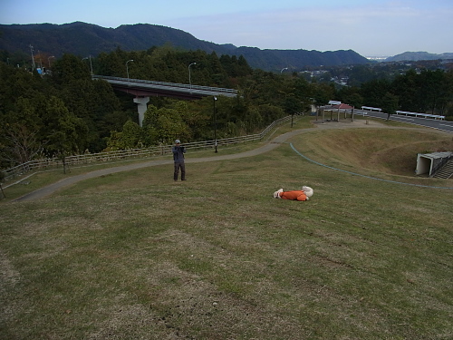 b0136381_132937.jpg