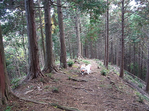 b0136381_201324100.jpg