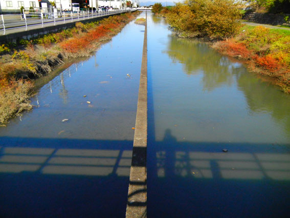 e0074782_20204764.jpg