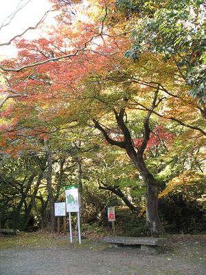 e0130185_1715442.jpg