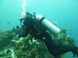 a0109187_70889.jpg