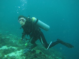 a0109187_893033.jpg