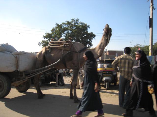 c0253488_0184632.jpg