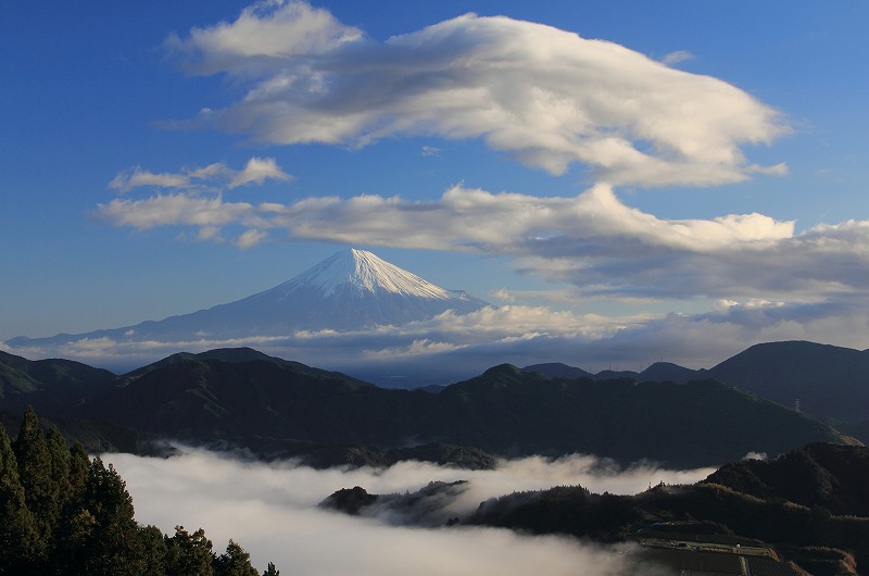 a0188405_133564.jpg