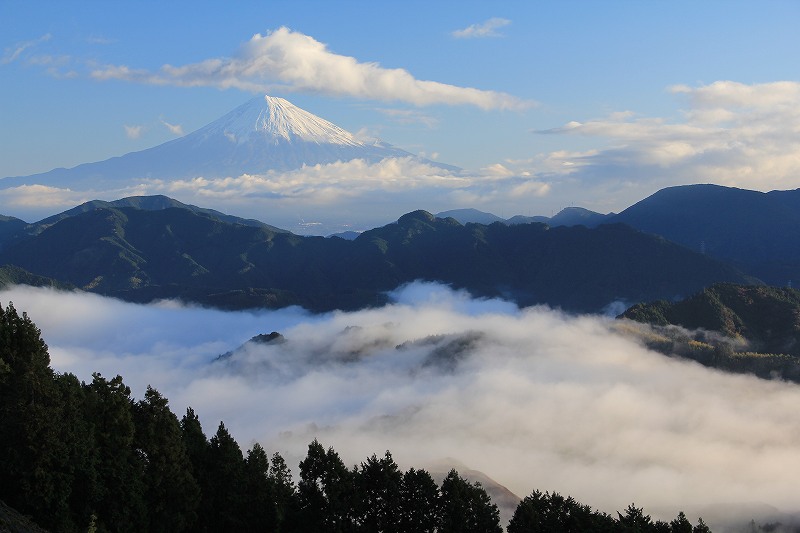 a0188405_134077.jpg