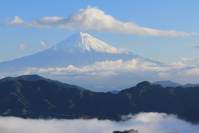 a0188405_1342659.jpg