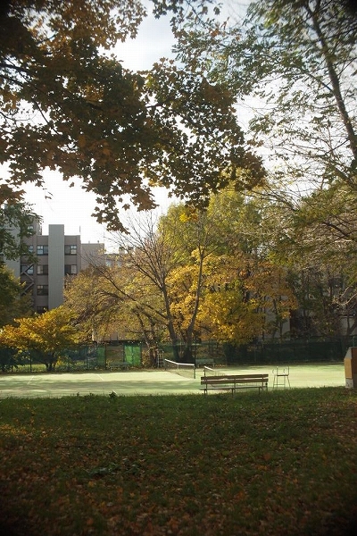 c0202705_205523.jpg