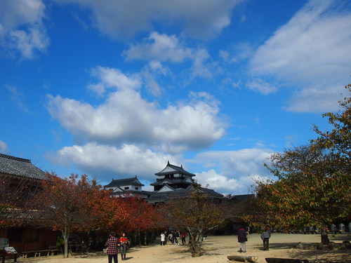 a0185007_1182442.jpg