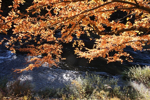 b0112909_12221873.jpg
