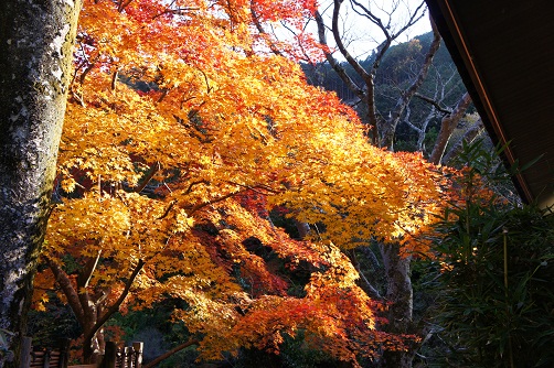 b0112909_12245165.jpg