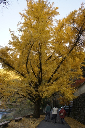 b0112909_13312878.jpg