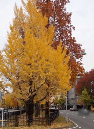 a0164011_1882178.jpg
