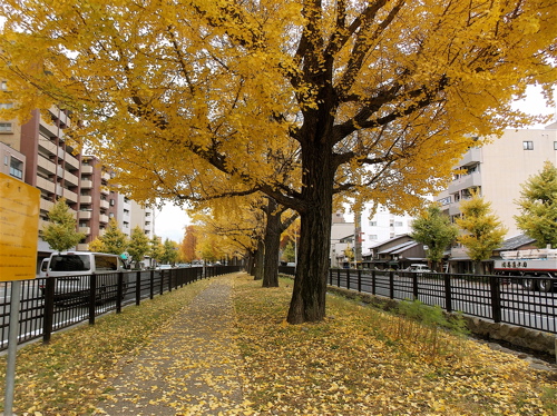a0164011_1883191.jpg