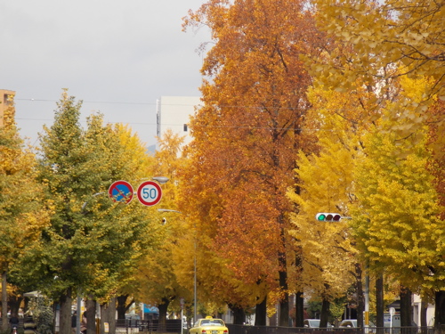 a0164011_188475.jpg