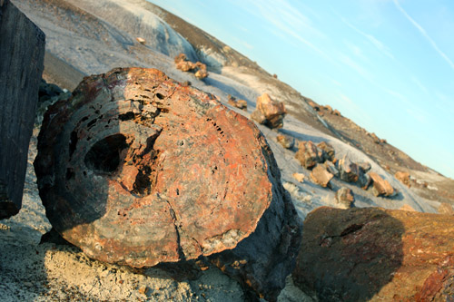 c0148812_8494121.jpg