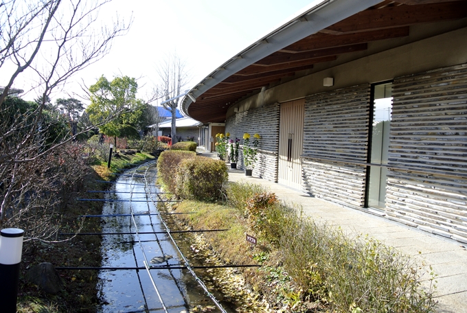d0179113_033129.jpg