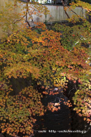 b0072115_22335766.jpg