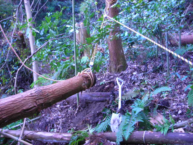 b0096418_20405872.jpg