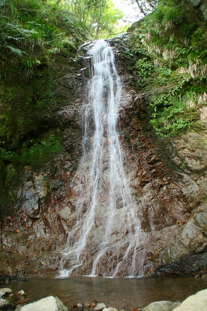 e0284019_16585363.jpg