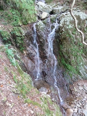 e0284019_174526.jpg
